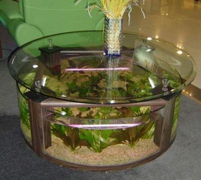 aquarium-coffee-fish-table.jpg