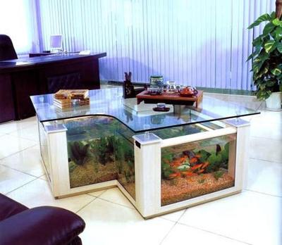 aquarium-coffee-table.jpg