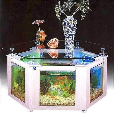 aquarium-which-doubles-as-a-table-for-your-home-or.jpg